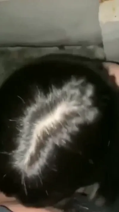 야노 어린커플 야외플